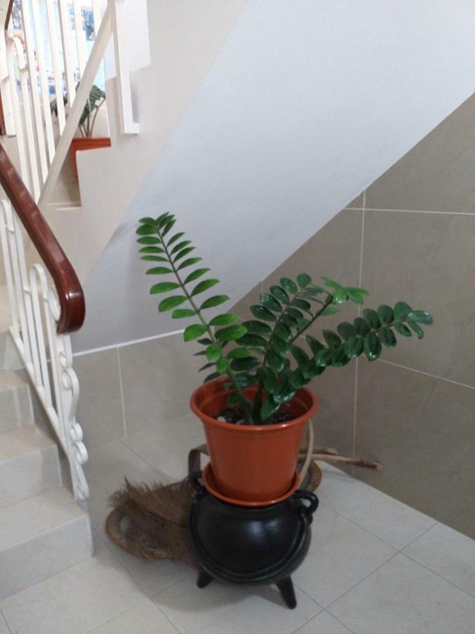 شقة Maderalzinho منديلو المظهر الخارجي الصورة
